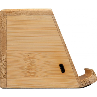 Logotrade promotional item image of: Induction loudspeaker NUREMBERG